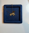 V2 Jewish Charm necklace
