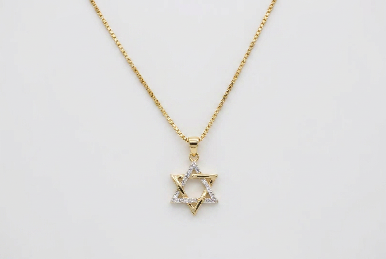 Amit Magen David Necklace
