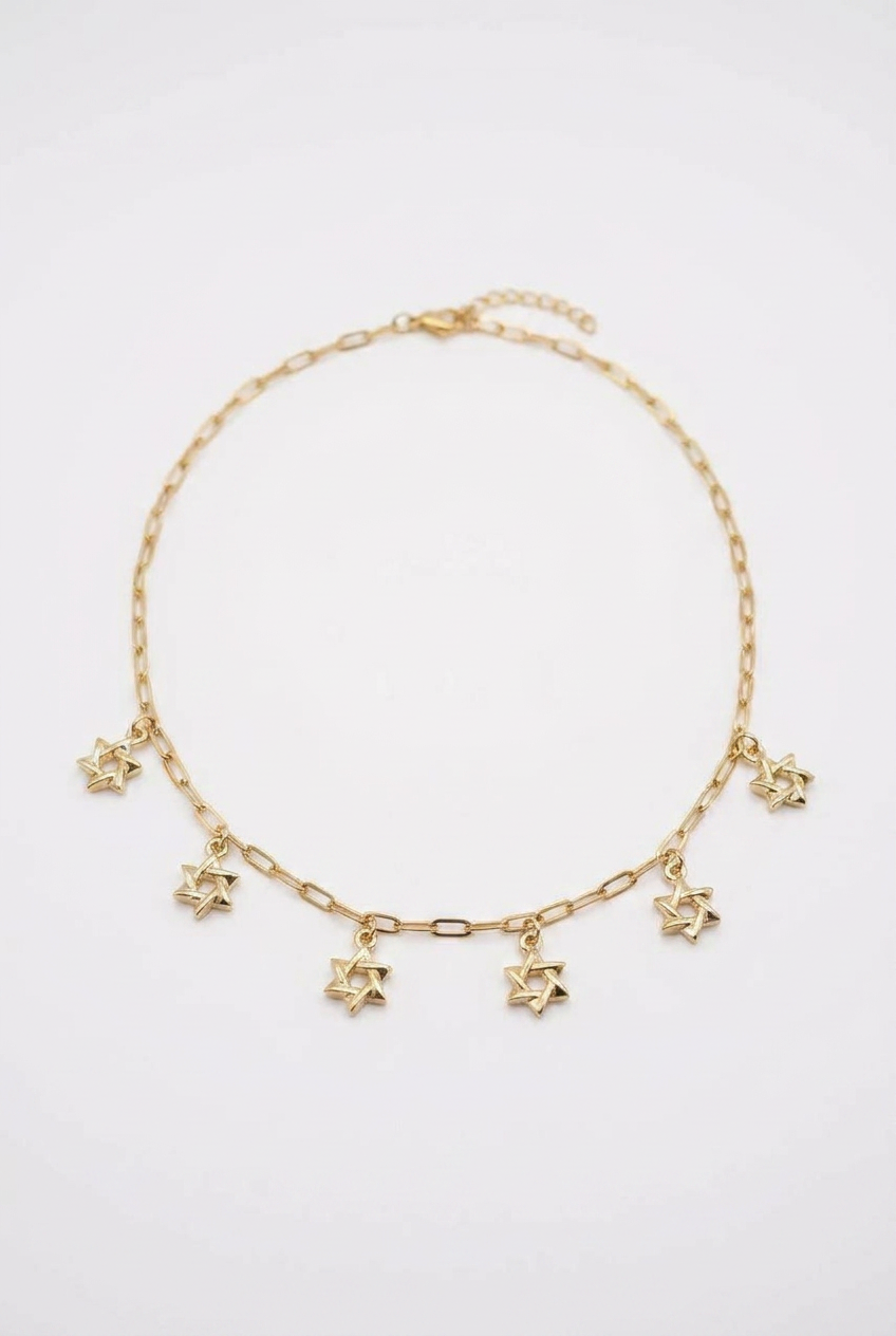 Two Tone Magen David Charm Necklace