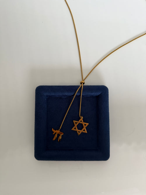 Chai and Magen David drop necklace