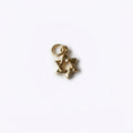 Mini Magen David Charm