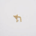 Lior Chai Charm