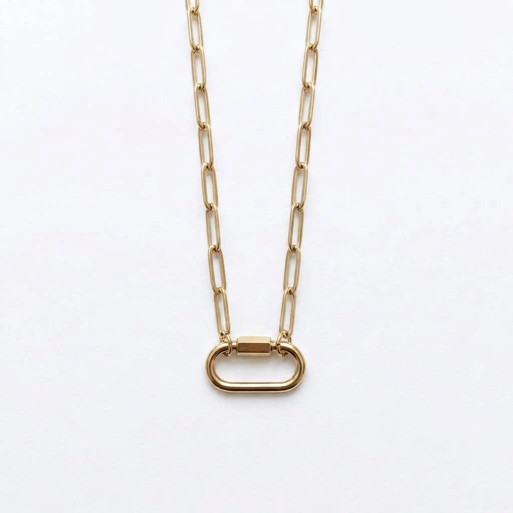 The Carabiner Chain necklace by Shukstack